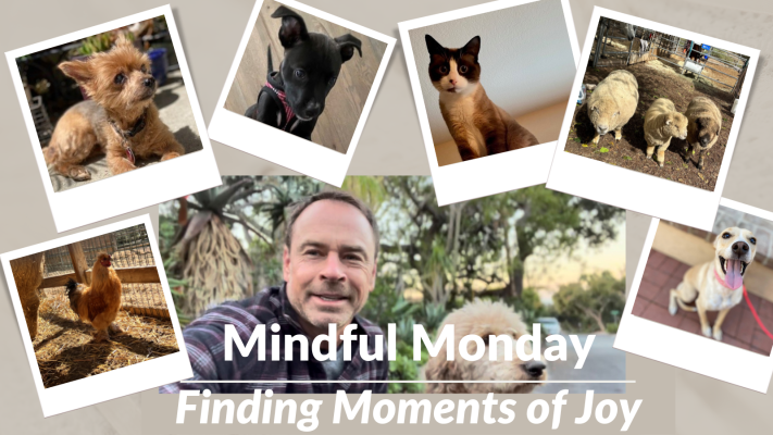 Mindful Monday Dec. 19 Finding Moments of Joy