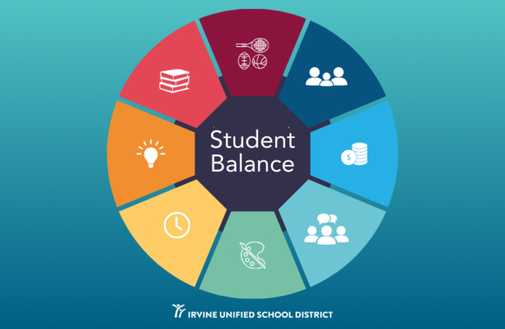 Wheel of priorities to show student balance