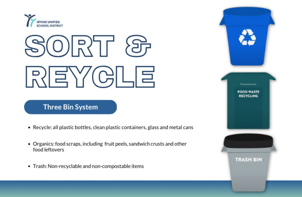 Three bin systems explanation and images of bins